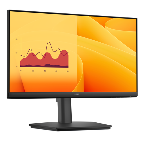 Dell Pro 22 inch monitor E2225HSM with adjustable stand